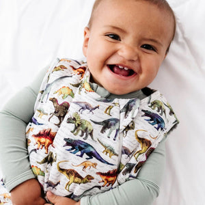 Baby Kids Bamboo Pajamas — Dinomite Sleep Sack — Image 1