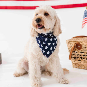 Baby Kids Bamboo Pajamas — Navy Star Pet Bandana — Image 1