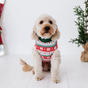 Baby Kids Bamboo Pajamas — Up To Snow Good Dog Sweater — Image 1