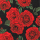 Red roses with green leaves on a black background.