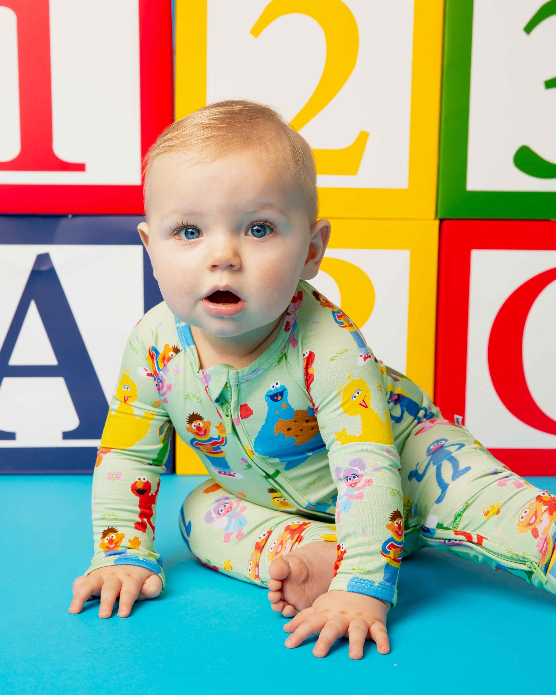 What Baby Clothing Brands Carry Sesame Street™ Prints Beyond Just Generic Graphic Tees
