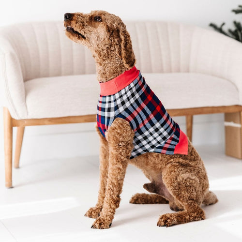 Checkmate Dog Sweater - Image 6 - Bums & Roses