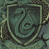 Slytherin