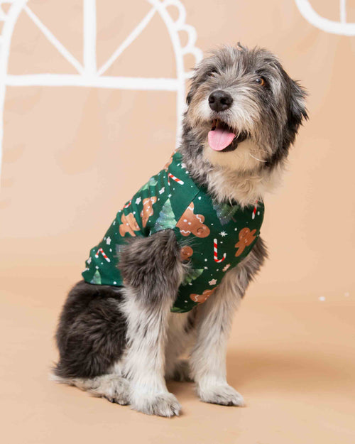 Baby Kids Bamboo Pajamas — Bake it Happen Dog Sweater — Image 1