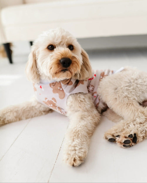 Baby Kids Bamboo Pajamas — Baking Spirits Bright Dog Sweater — Image 11