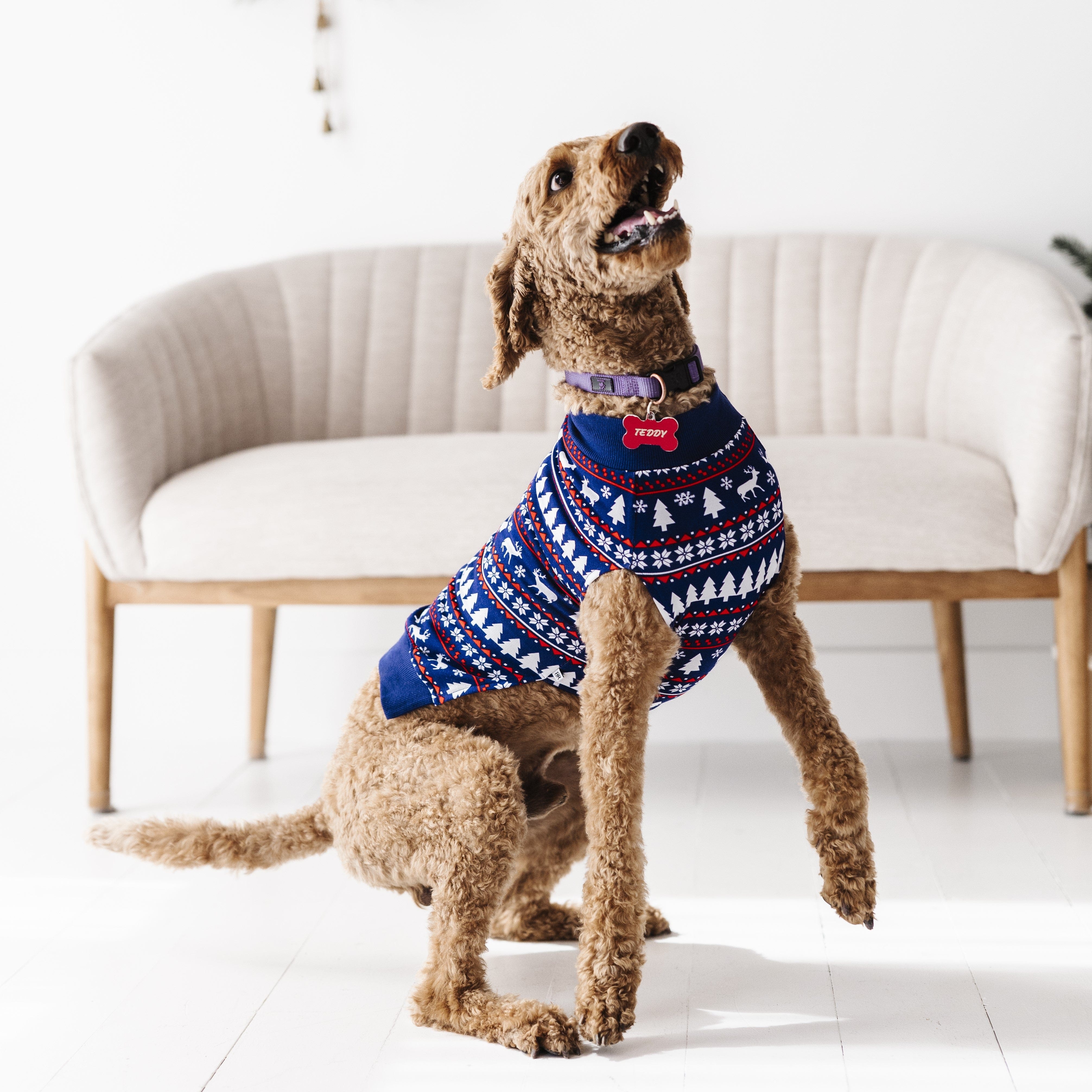 Santa clearance dog sweater