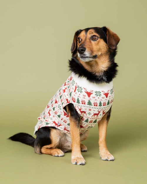 Baby Kids Bamboo Pajamas — Deer to Dream Dog Sweater — Image 1
