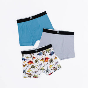 Bums & Roses - Baby & Kids Bamboo Pajamas - Dinomite 3-Pack Boy's Boxer Brief Underwear - Image 1