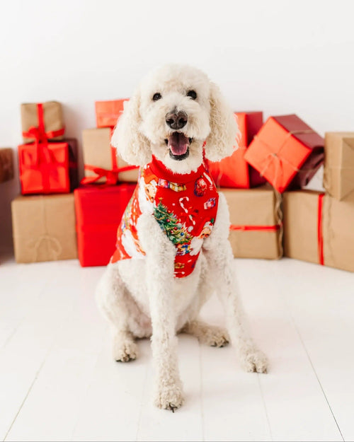 Baby Kids Bamboo Pajamas — In The Nick Of Time Dog Sweater — Image 5