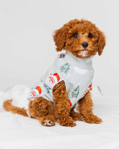 Baby Kids Bamboo Pajamas — Just BeClause Dog Sweater — Image 1