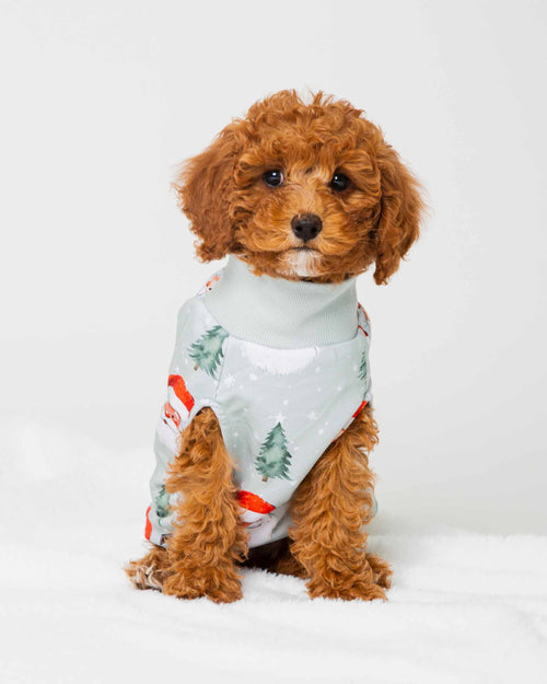 Baby Kids Bamboo Pajamas — Just BeClause Dog Sweater — Image 6