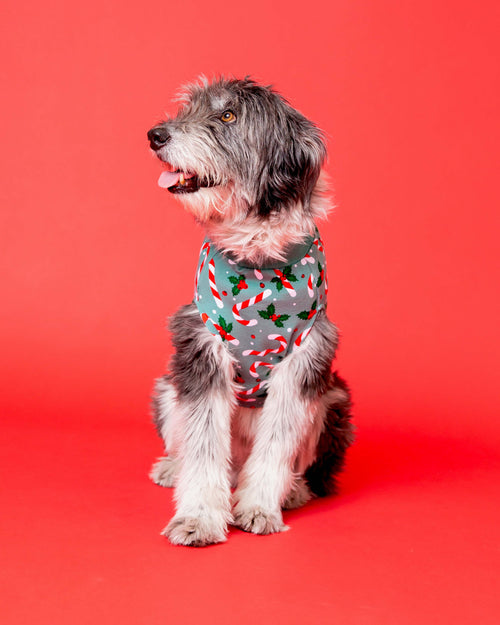 Baby Kids Bamboo Pajamas — Candy Cane Lane Dog Sweater — Image 4