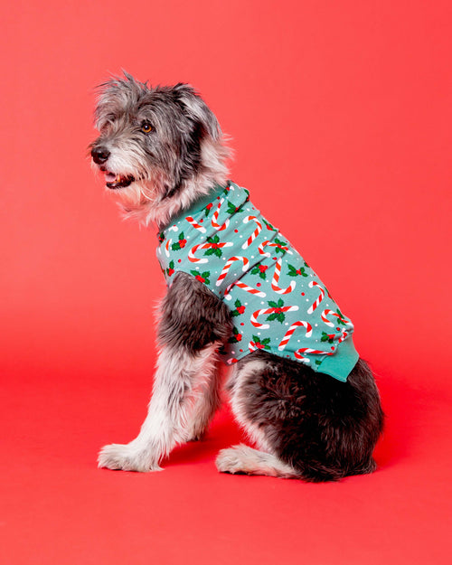 Baby Kids Bamboo Pajamas — Candy Cane Lane Dog Sweater — Image 1