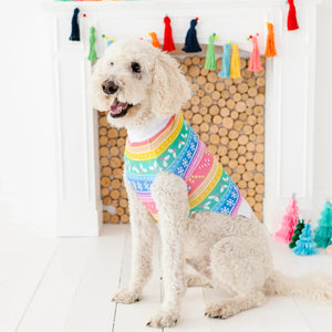 Bums & Roses - Baby & Kids Bamboo Pajamas - Merry And Bright Dog Sweater - Image 1