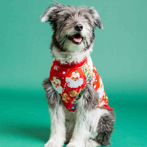 Baby Kids Bamboo Pajamas — In The Nick Of Time Dog Sweater — Image 1