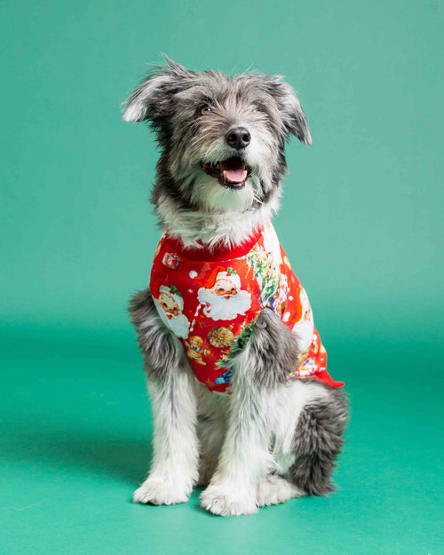 Baby Kids Bamboo Pajamas — In The Nick Of Time Dog Sweater — Image 1