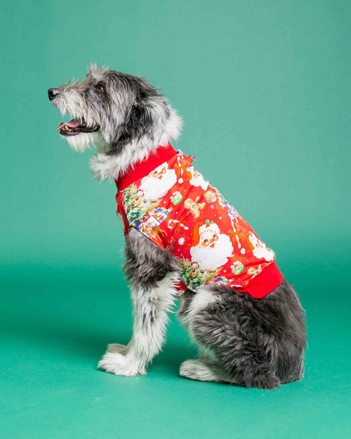 Baby Kids Bamboo Pajamas — In The Nick Of Time Dog Sweater — Image 3