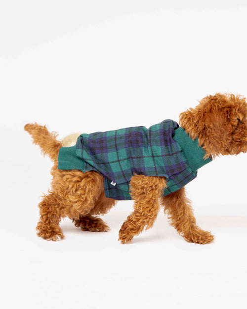 Baby Kids Bamboo Pajamas — Plaid Tidings Dog Sweater — Image 6