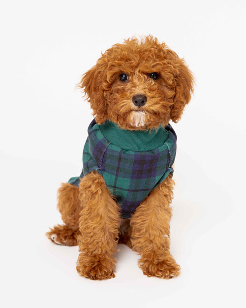 Baby Kids Bamboo Pajamas — Plaid Tidings Dog Sweater — Image 7
