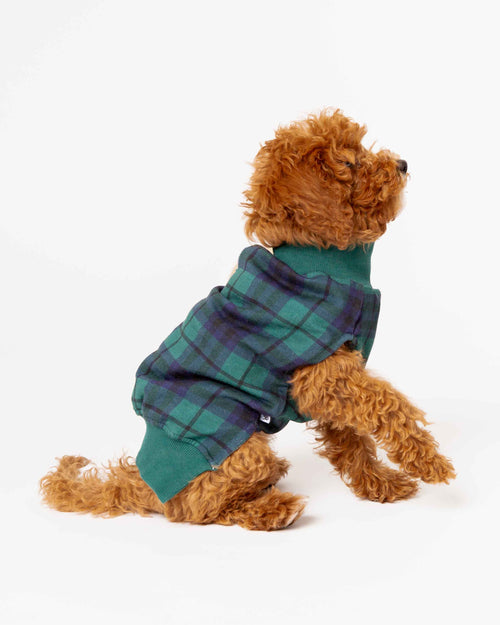 Baby Kids Bamboo Pajamas — Plaid Tidings Dog Sweater — Image 1