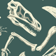 Dinosaur bones illustration in a dark green background