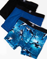 Baby Kids Bamboo Pajamas — Whale, Hello There 3-Pack Boy's Boxer Brief Underwear — Image 1