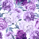 Peony floral pattern in shades of purple and pink.