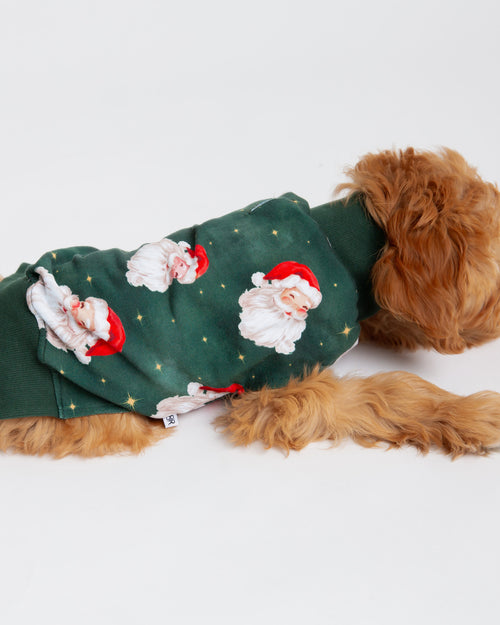 Baby Kids Bamboo Pajamas — Claus Encounters Dog Sweater — Image 4