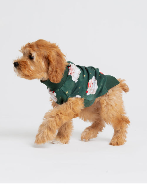 Baby Kids Bamboo Pajamas — Claus Encounters Dog Sweater — Image 1