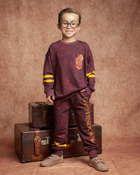 Baby Kids Bamboo Pajamas — Harry Potter™ Gryffindor House Relaxed Fit Jogger Set — Image 1