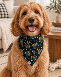 Baby Kids Bamboo Pajamas — Gimme Menorah That Pet Bandana — Image 1