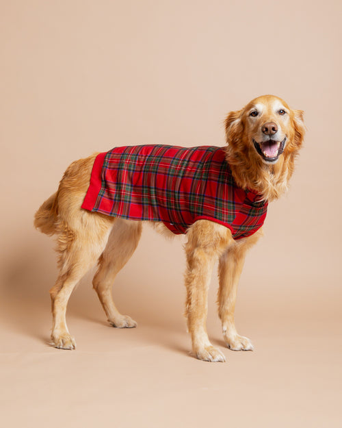 Baby Kids Bamboo Pajamas — Prepped & Plaid Dog Sweater — Image 4