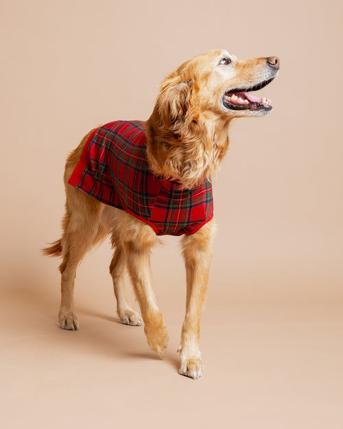 Baby Kids Bamboo Pajamas — Prepped & Plaid Dog Sweater — Image 3