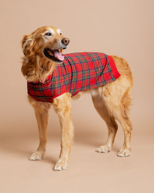 Baby Kids Bamboo Pajamas — Prepped & Plaid Dog Sweater — Image 2