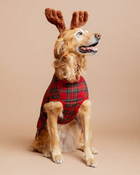 Baby Kids Bamboo Pajamas — Prepped & Plaid Dog Sweater — Image 1