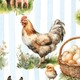 Illustration of chickens and a basket of eggs on a striped background