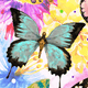 A colorful butterfly with blue wings on a floral background