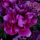 Floral pattern featuring purple peonies and other flowers