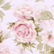 Floral pattern featuring pink roses on a light background