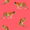 Go Get 'Em Tiger