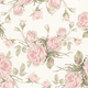 Floral pattern featuring pink roses on a cream background