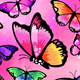 Colorful butterflies on a pink background